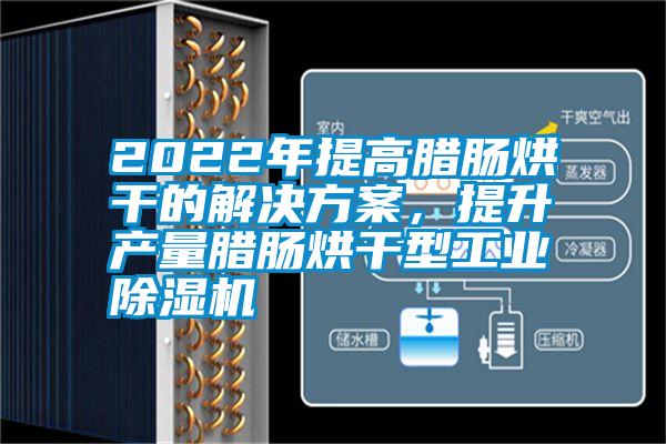 2022年提高臘腸烘干的解決方案，提升產(chǎn)量臘腸烘干型工業(yè)除濕機