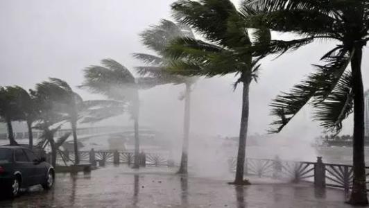 8月臺(tái)風(fēng)雨即將來，除濕機(jī)還得用起來