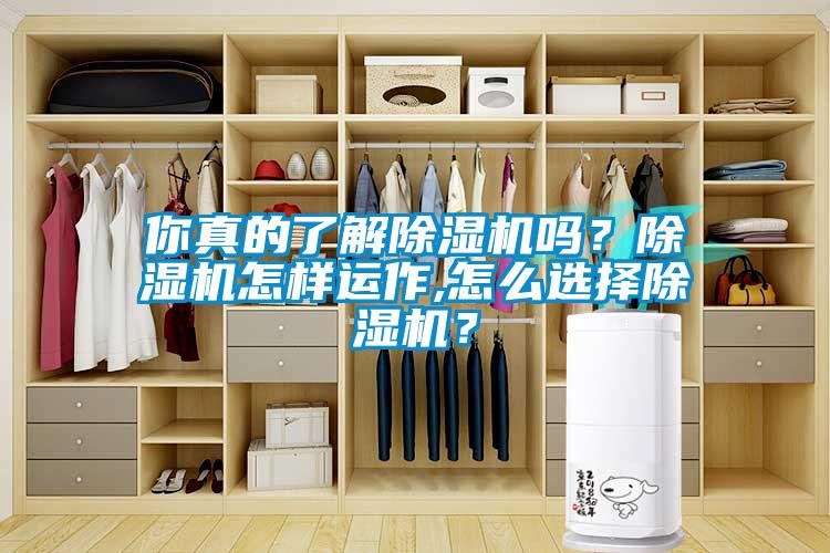 你真的了解除濕機嗎？除濕機怎樣運作,怎么選擇除濕機？