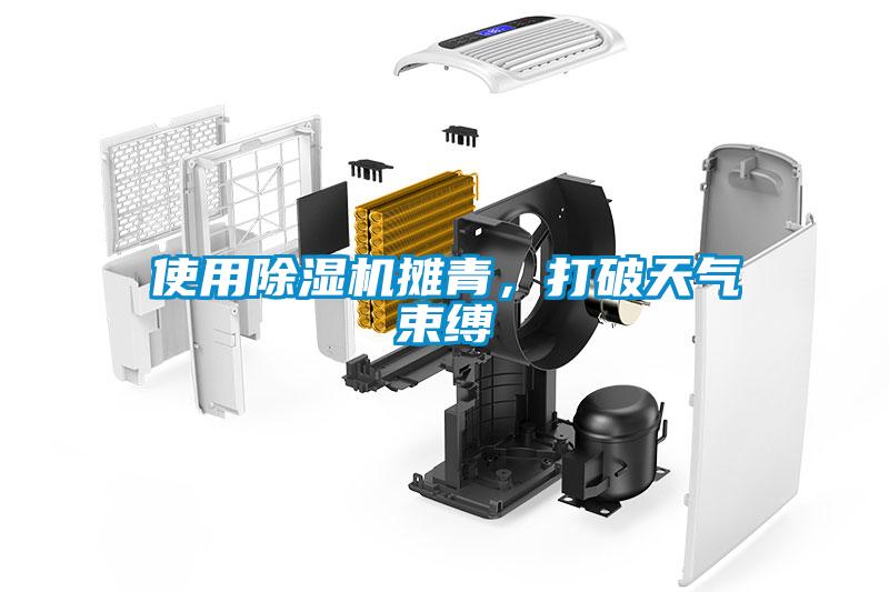 使用除濕機(jī)攤青，打破天氣束縛