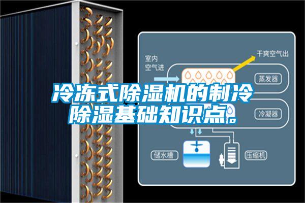 冷凍式除濕機(jī)的制冷除濕基礎(chǔ)知識點(diǎn)。
