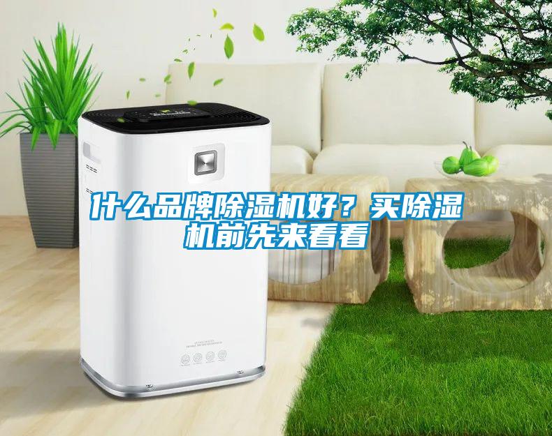 什么品牌除濕機好？買除濕機前先來看看