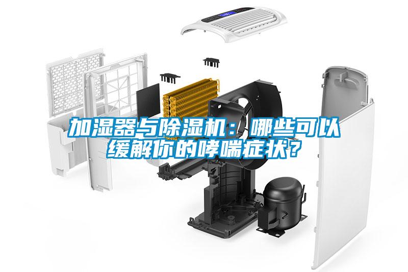 加濕器與除濕機(jī)：哪些可以緩解你的哮喘癥狀？