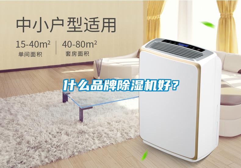 什么品牌除濕機(jī)好？