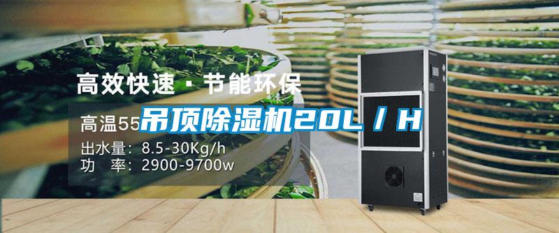 吊頂除濕機20L／H