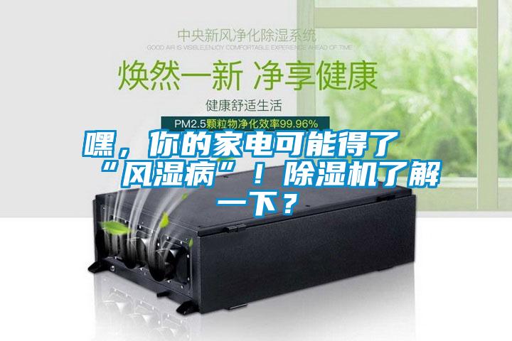 嘿，你的家電可能得了“風(fēng)濕病”！除濕機(jī)了解一下？