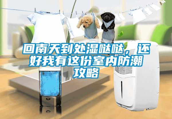 回南天到處濕噠噠，還好我有這份室內(nèi)防潮攻略