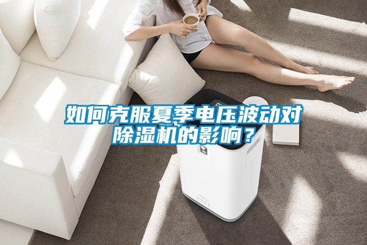 如何克服夏季電壓波動對除濕機的影響？