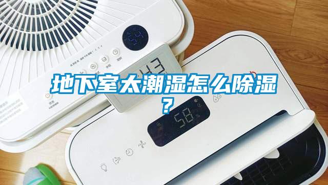 地下室太潮濕怎么除濕？