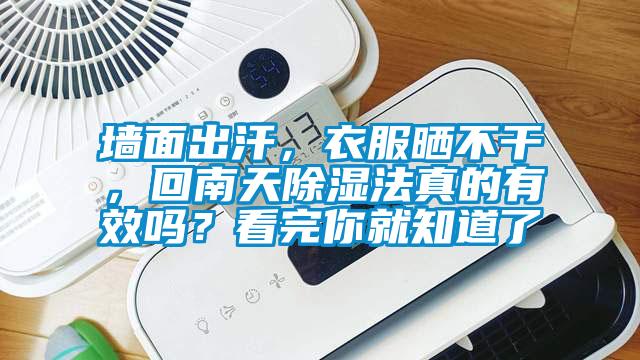 墻面出汗，衣服曬不干，回南天除濕法真的有效嗎？看完你就知道了