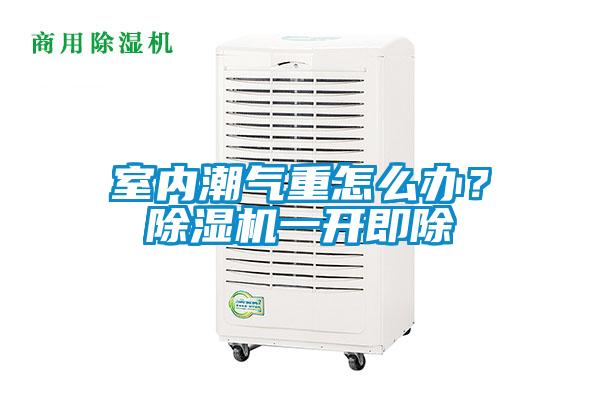 室內(nèi)潮氣重怎么辦？除濕機一開即除