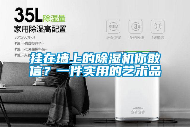 掛在墻上的除濕機你敢信？一件實用的藝術(shù)品