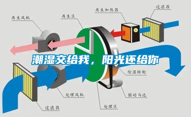 潮濕傷于無形，除濕機(jī)來防范