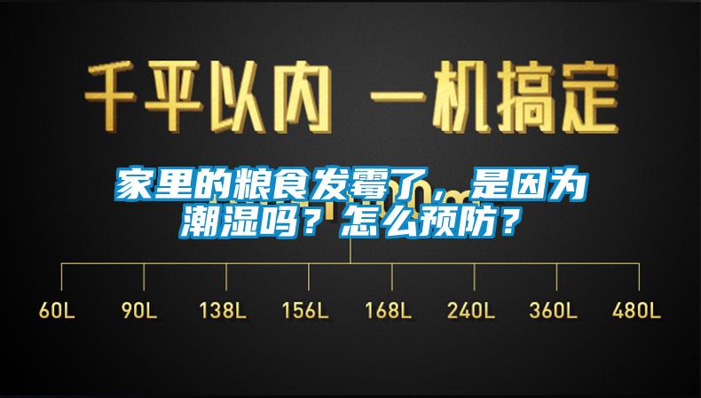 家里的糧食發(fā)霉了，是因?yàn)槌睗駟?？怎么預(yù)防？