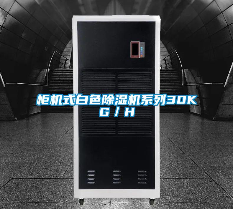 柜機式白色除濕機系列30KG／H