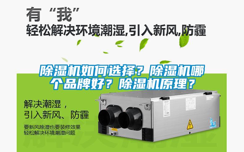 除濕機如何選擇？除濕機哪個品牌好？除濕機原理？