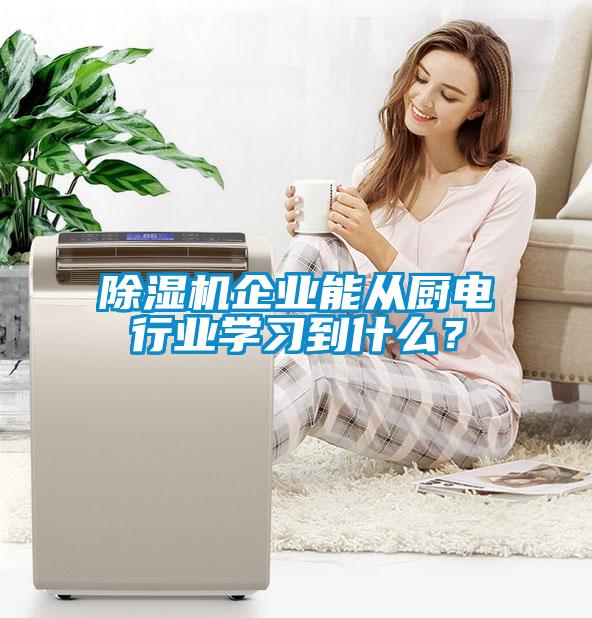 除濕機企業(yè)能從廚電行業(yè)學(xué)習(xí)到什么？