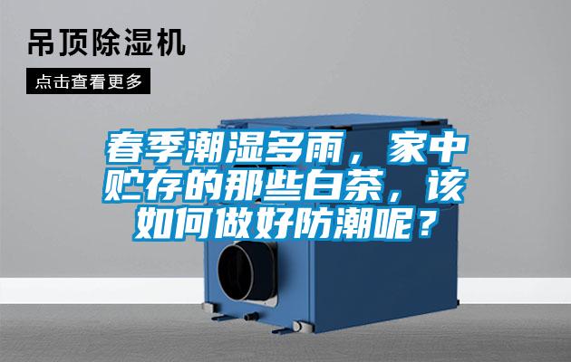 春季潮濕多雨，家中貯存的那些白茶，該如何做好防潮呢？