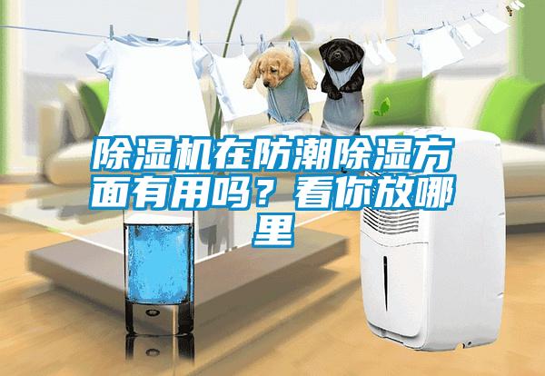 除濕機在防潮除濕方面有用嗎？看你放哪里