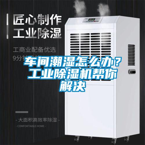 車(chē)間潮濕怎么辦？工業(yè)除濕機(jī)幫你解決