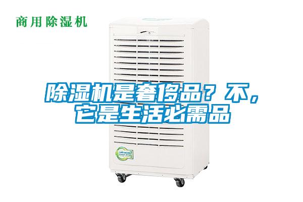 除濕機是奢侈品？不，它是生活必需品