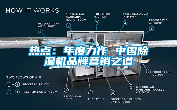 熱點(diǎn)：年度力作 中國除濕機(jī)品牌營銷之道