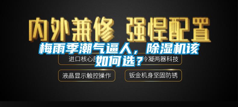 梅雨季潮氣逼人，除濕機該如何選？