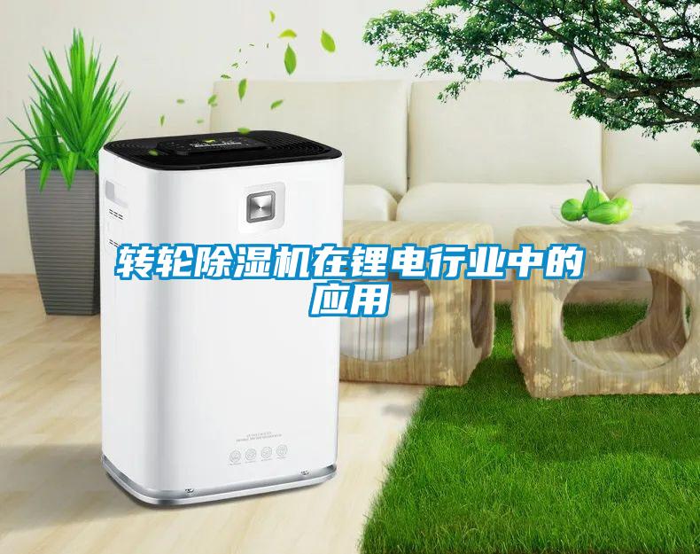 轉輪除濕機在鋰電行業(yè)中的應用