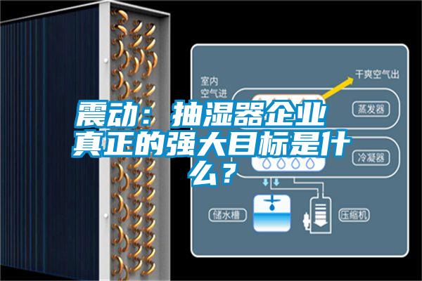 震動：抽濕器企業(yè) 真正的強大目標是什么？