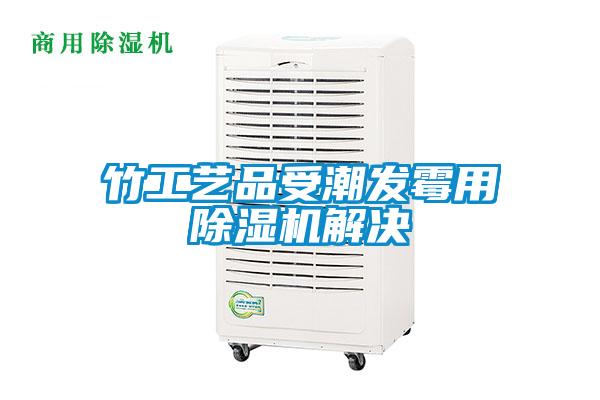 竹工藝品受潮發(fā)霉用除濕機解決