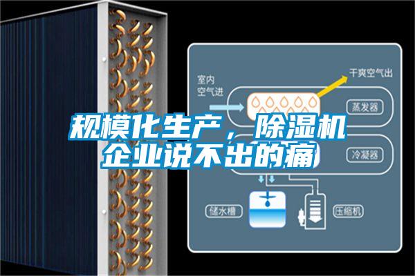 規(guī)模化生產(chǎn)，除濕機企業(yè)說不出的痛
