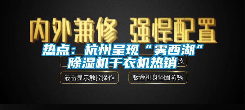 熱點：杭州呈現(xiàn)“霧西湖”除濕機(jī)干衣機(jī)熱銷