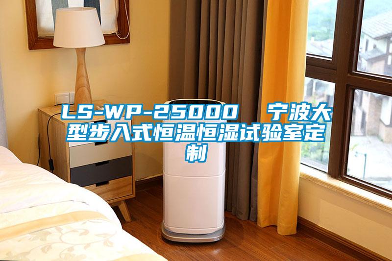 LS-WP-25000  寧波大型步入式恒溫恒濕試驗(yàn)室定制