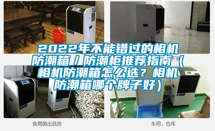 2022年不能錯過的相機防潮箱／防潮柜推薦指南（相機防潮箱怎么選？相機防潮箱哪個牌子好）