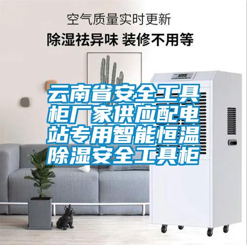 云南省安全工具柜廠家供應配電站專用智能恒溫除濕安全工具柜