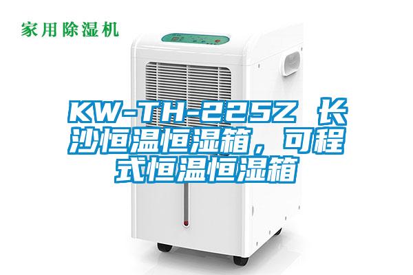 KW-TH-225Z 長沙恒溫恒濕箱，可程式恒溫恒濕箱