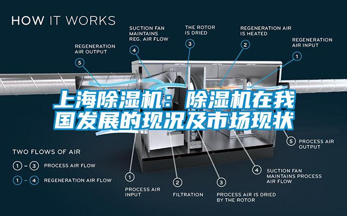 上海除濕機(jī)：除濕機(jī)在我國發(fā)展的現(xiàn)況及市場現(xiàn)狀