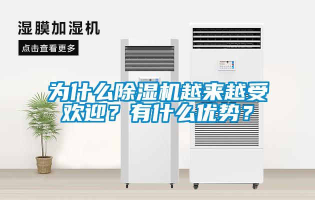 為什么除濕機(jī)越來(lái)越受歡迎？有什么優(yōu)勢(shì)？