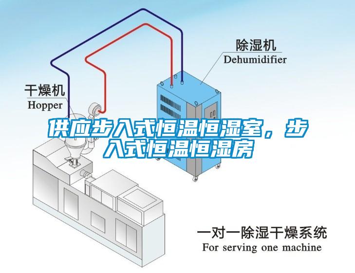 供應步入式恒溫恒濕室，步入式恒溫恒濕房