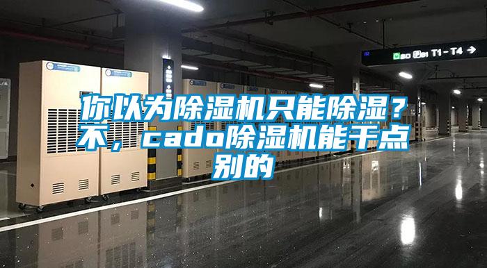 你以為除濕機只能除濕？不，cado除濕機能干點別的