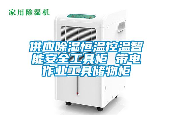 供應(yīng)除濕恒溫控溫智能安全工具柜 帶電作業(yè)工具儲(chǔ)物柜