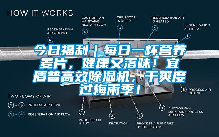 今日福利｜每日一杯營養(yǎng)麥片，健康又落味！宜盾普高效除濕機，干爽度過梅雨季！