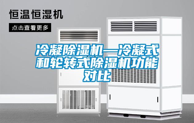 冷凝除濕機—冷凝式和輪轉(zhuǎn)式除濕機功能對比