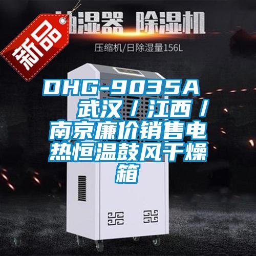 DHG-9035A   武漢／江西／南京廉價(jià)銷售電熱恒溫鼓風(fēng)干燥箱