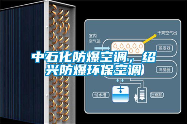 中石化防爆空調，紹興防爆環(huán)?？照{