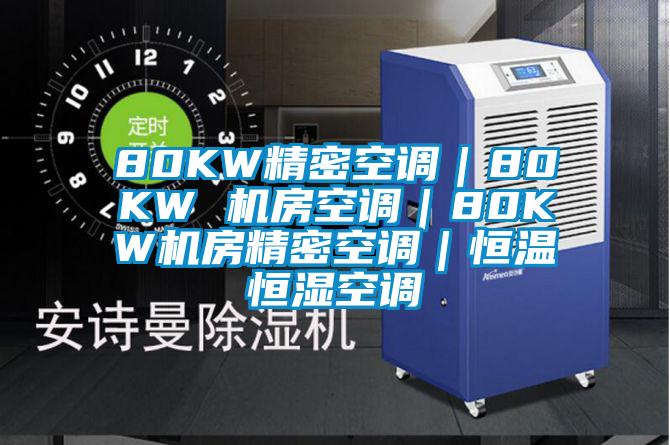 80KW精密空調(diào)｜80KW 機房空調(diào)｜80KW機房精密空調(diào)｜恒溫恒濕空調(diào)