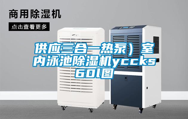 供應(yīng)三合一熱泵）室內(nèi)泳池除濕機yccks60l圖