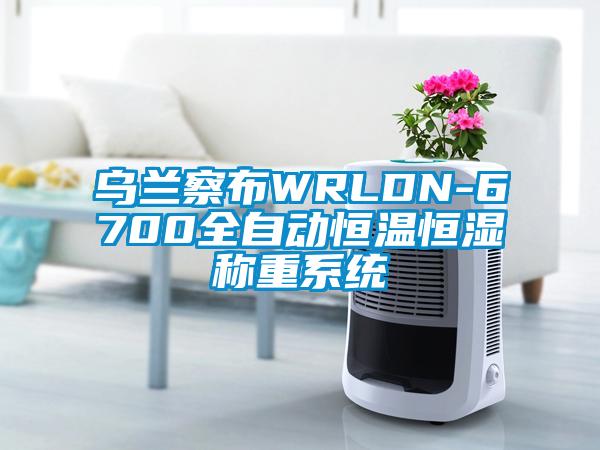 烏蘭察布WRLDN-6700全自動(dòng)恒溫恒濕稱(chēng)重系統(tǒng)