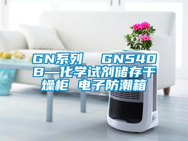 GN系列  GN540B—化學試劑儲存干燥柜 電子防潮箱