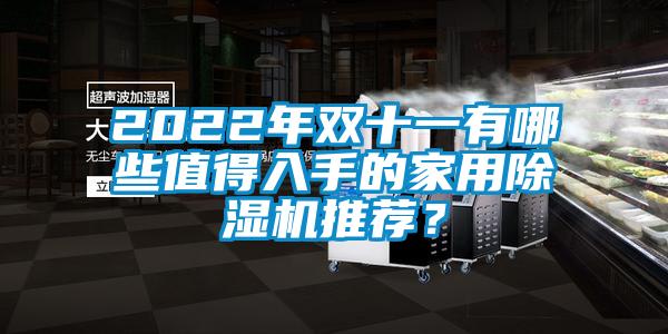 2022年雙十一有哪些值得入手的家用除濕機(jī)推薦？